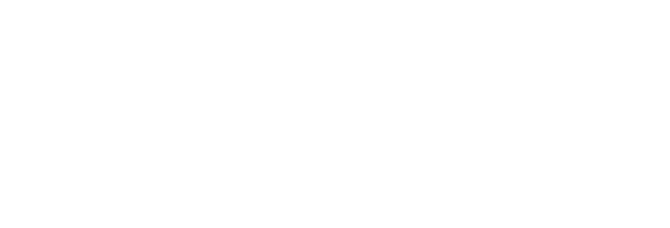 Custom Intelligent Solutions